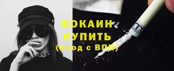 стафф Осинники