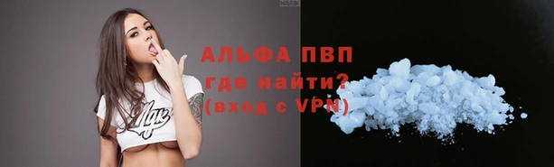 стафф Осинники
