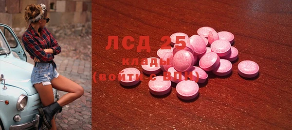 стафф Осинники
