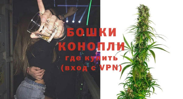 стафф Осинники