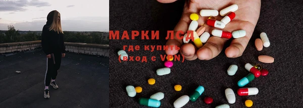 стафф Осинники