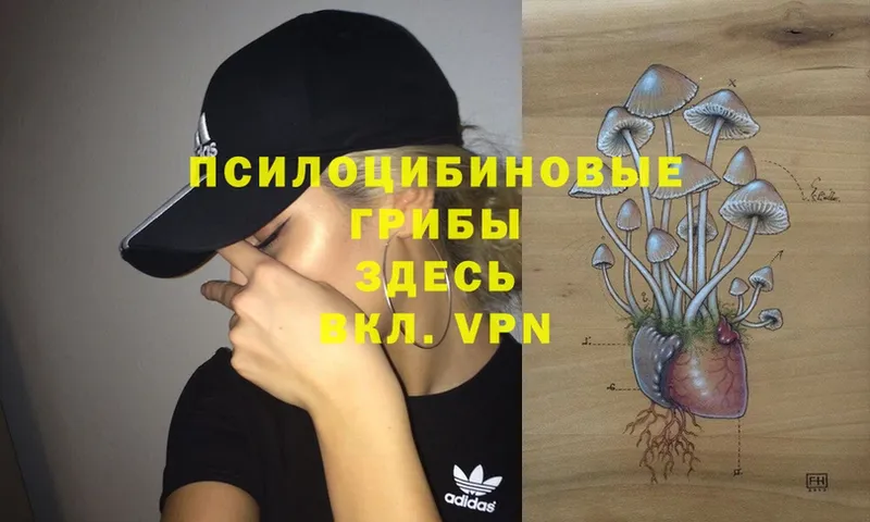 Галлюциногенные грибы Magic Shrooms  Ак-Довурак 